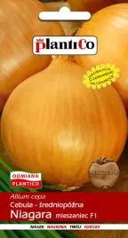 cebula-f1-niagara-5-g-plantico