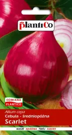 cebula-scarlet-5-g-plantico