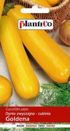 cukinia-goldena-3-g-polan