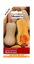 dynia-pizmowa-butternut-2-g-plantico