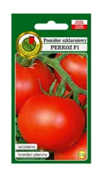 pomidor-pod-oslony-perkoz-f1-01-g-pnos