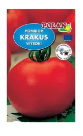 pomidor-gruntowy-krakus-1-g-polan