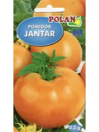 pomidor-jantar-0-2-g-polan
