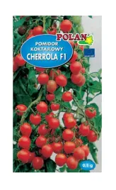 pomidor-gruntowa-cherrola-f1-01-g-polan