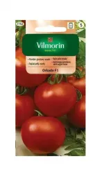 pomidor-orkado-f1-02-g-vilmorin