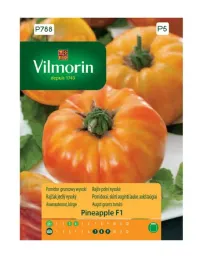 pomidor-gruntowy-wysoki-pineapple-f1-01-g-vilmorin