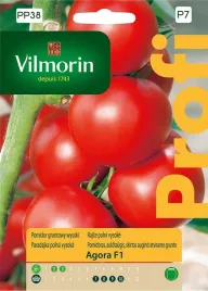 pomidor-agora-f1-05-g-vilmorin