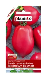 pomidor-gruntowy-karlowy-malinowy-bosman-05-g-plantico
