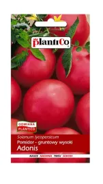 pomidor-adonis-05-g-plantico