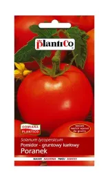 pomidor-gruntowy-karlowy-poranek-1-g-plantico