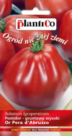 pomidor-gruntowy-or-pera-d-abruzzo-02-g-plantico