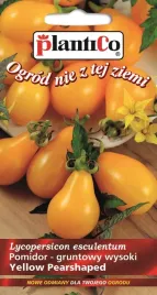 pomidor-gruntowy-yellow-pearshaped-0-2-g-plantico