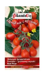 pomidor-gruntowy-wysoki-red-pear-02-g-plantico