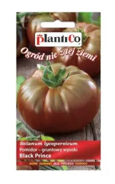 pomidor-gruntowy-wysoki-black-prince-02-g-plantico