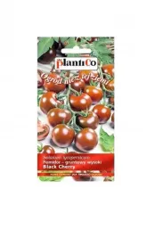 pomidor-gruntowy-black-cherry-02-g-plantico