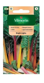 burak-lisciowy-bright-lights-1-g-vilmorin