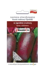 burak-cwiklowy-opolski-nasiona-otoczkowane-100-nasion-plantico