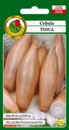 cebula-tosca-2-g-pnos