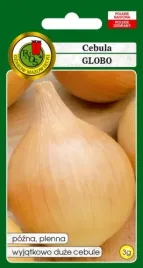 cebula-globo-3-g-pnos
