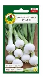 cebula-pompei-1-g-pnos