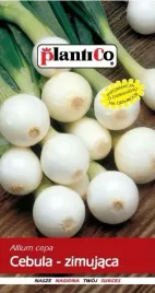 cebula-agra-3-g-plantico