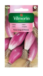 cebula-czerwona-podluzna-rossa-lunga-di-firenze-2-g-vilmorin