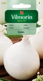 cebula-avalon-3-g-vilmorin