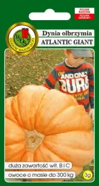 dynia-olbrzymia-atlantic-gigant-3-g-pnos