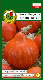 dynia-olbrzymia-uchiki-kuri-3-g-pnos