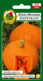 dynia-olbrzymia-justynka-2-g-pnos
