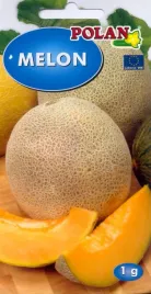 melon-ananas-1-g-polan