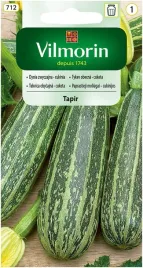 cukinia-tapir-2-g-vilmorin