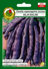 fasola-szparagowa-fioletowa-blauhilde-10-g-pnos