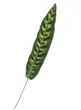 lisc-pikok-68cm
