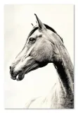 obraz-na-plotnie-60x90cm-kon-stan-nowy