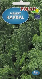 jarmuz-kapral-2-g-polan
