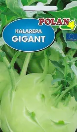 kalarepa-gigant-2-g-polan