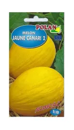 melon-joune-canari-2-1-g-polan