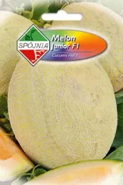 melon-junior-f1-1-g-spojnia