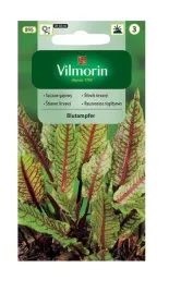 szczaw-gajowy-blutampfer-02-g-vilmorin