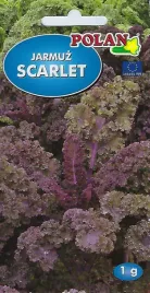 jarmuz-scarlet-1-g-polan