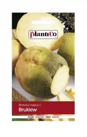 brukiew-jadalna-wilhelmsburger-sator-otofte-10-g-plantico