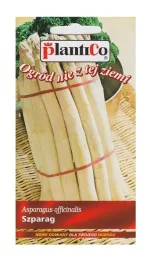 szparag-argenteuil-2-g-plantico