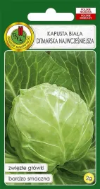 kapusta-glowiasta-biala-ditmarska-najwczesniejsza-2-g-pnos