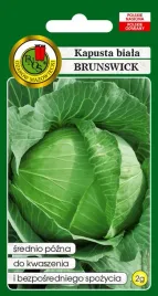 kapusta-glowiasta-biala-brunswicka-2-g-pnos