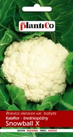 kalafior-snowball-1-g-plantico