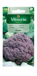 brokul-miranda-1-g-vilmorin