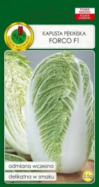kapusta-pekinska-forco-f1-05-g-pnos