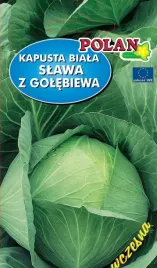 kapusta-glowiasta-biala-slawa-z-golebiewa-2-g-polan