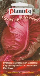 kapusta-glowiasta-czerwona-kalibos-1-g-plantico